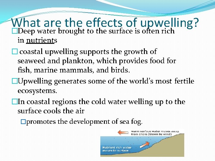 What are the effects of upwelling? �Deep water brought to the surface is often