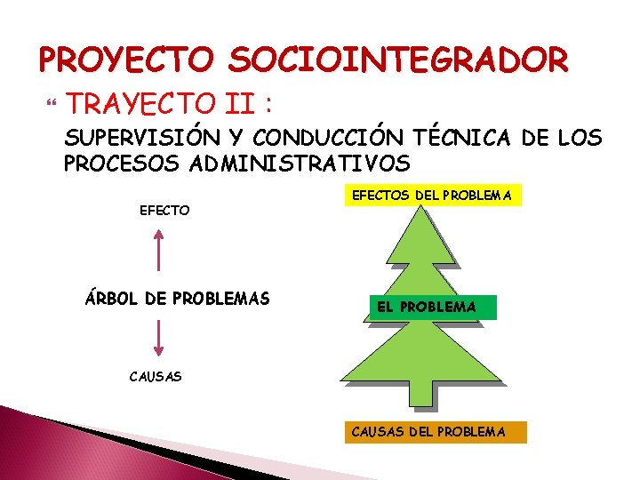 PROYECTO SOCIOINTEGRADOR TRAYECTO II : SUPERVISIÓN Y CONDUCCIÓN TÉCNICA DE LOS PROCESOS ADMINISTRATIVOS EFECTO