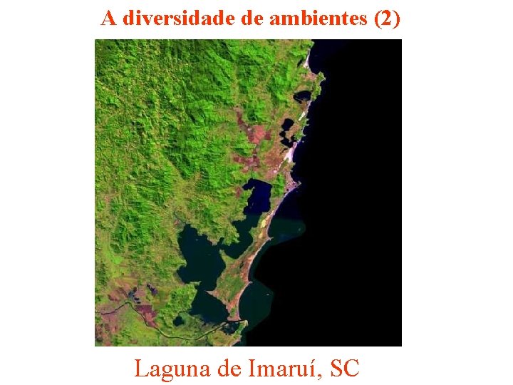 A diversidade de ambientes (2) Laguna de Imaruí, SC 