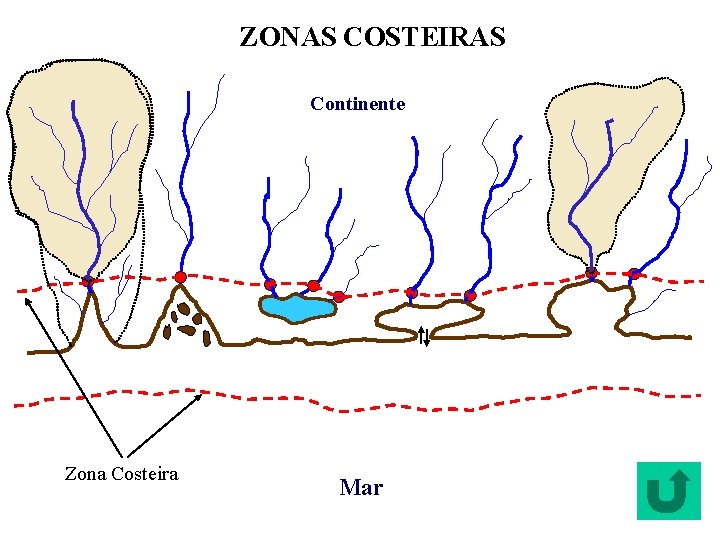 ZONAS COSTEIRAS Continente Zona Costeira Mar 