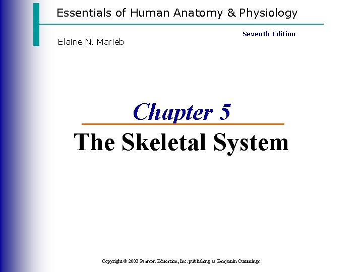 Essentials of Human Anatomy & Physiology Elaine N. Marieb Seventh Edition Chapter 5 The