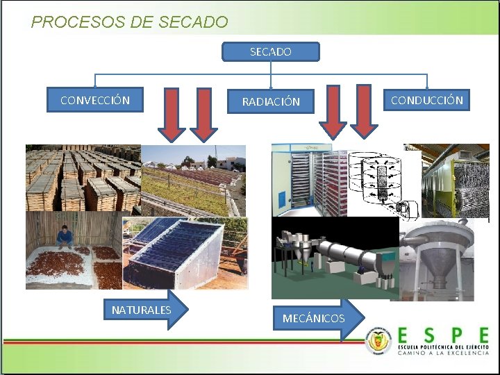 PROCESOS DE SECADO CONVECCIÓN NATURALES RADIACIÓN MECÁNICOS CONDUCCIÓN 