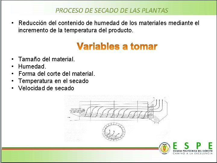 PROCESO DE SECADO DE LAS PLANTAS • Reducción del contenido de humedad de los