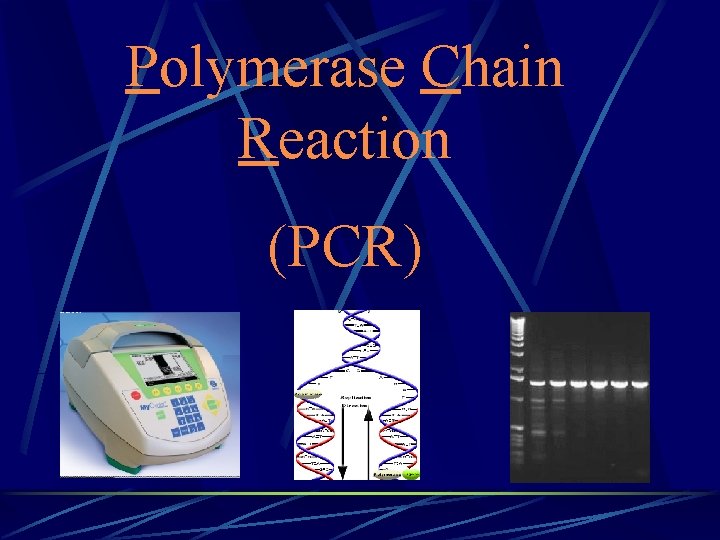 Polymerase Chain Reaction (PCR) 