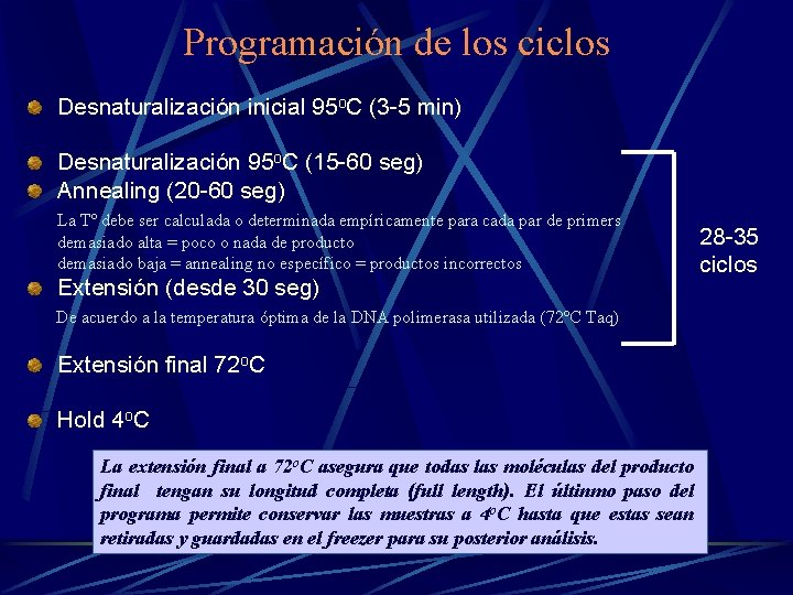 Programación de los ciclos Desnaturalización inicial 95 o. C (3 -5 min) Desnaturalización 95