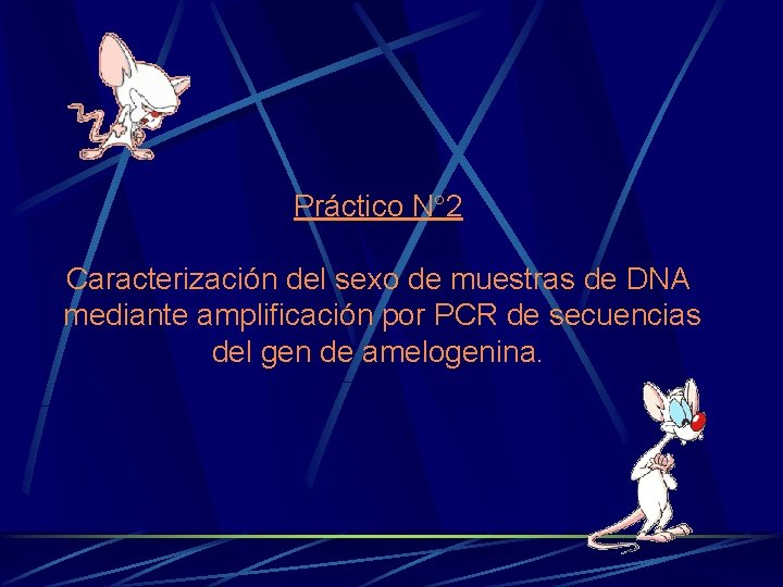 Práctico N 2 Caracterización del sexo de muestras de DNA mediante amplificación por PCR