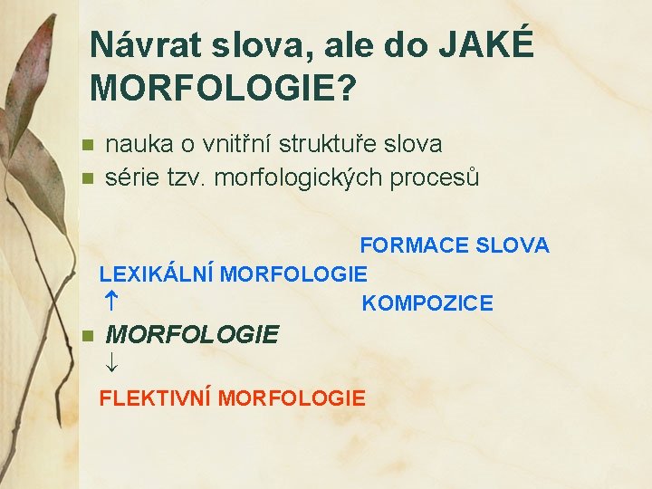 Návrat slova, ale do JAKÉ MORFOLOGIE? n n nauka o vnitřní struktuře slova série