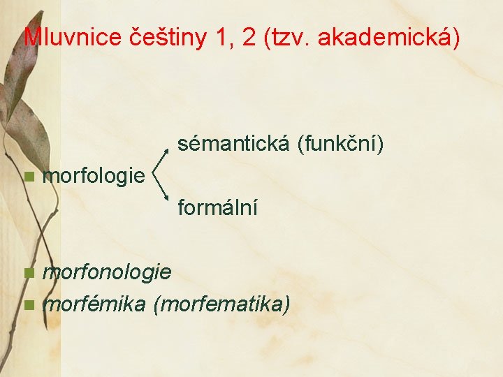 Mluvnice češtiny 1, 2 (tzv. akademická) sémantická (funkční) n morfologie formální morfonologie n morfémika