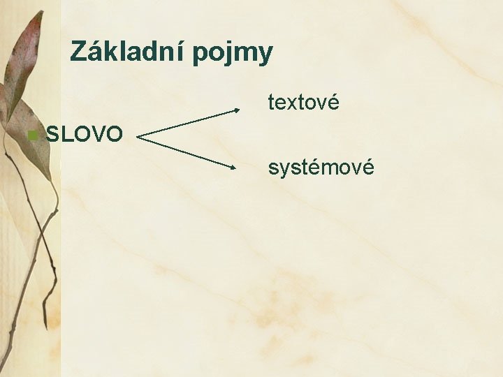 Základní pojmy textové n SLOVO systémové 