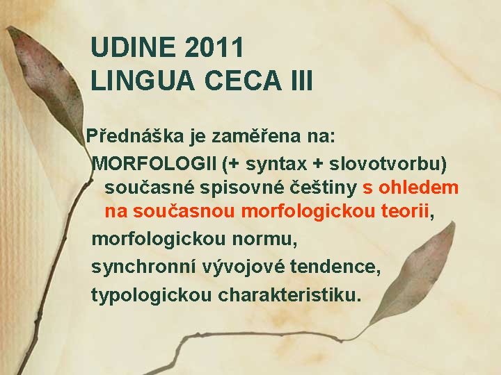 UDINE 2011 LINGUA CECA III Přednáška je zaměřena na: MORFOLOGII (+ syntax + slovotvorbu)