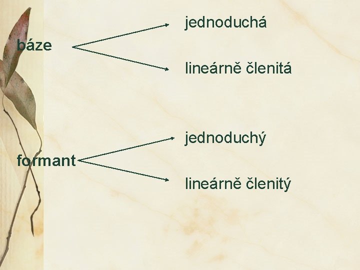 jednoduchá báze lineárně členitá jednoduchý formant lineárně členitý 