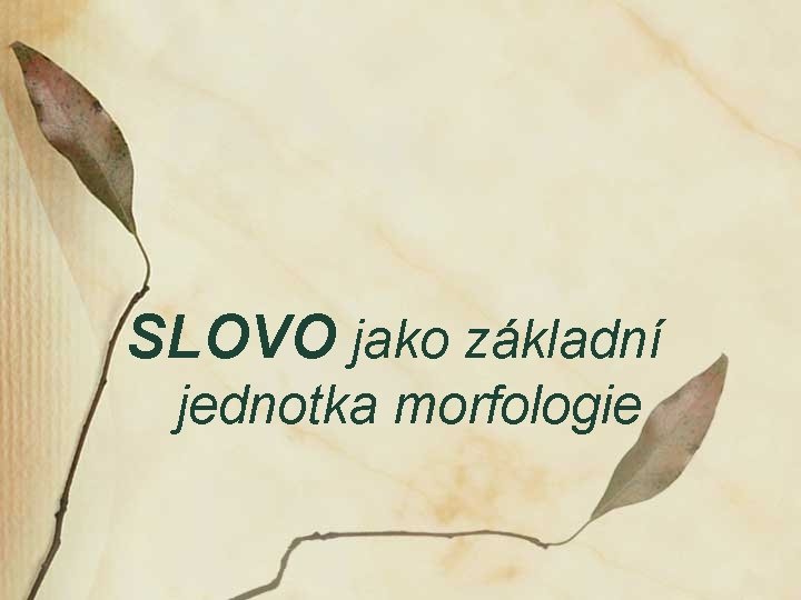 SLOVO jako základní jednotka morfologie 