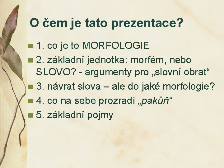 O čem je tato prezentace? 1. co je to MORFOLOGIE n 2. základní jednotka: