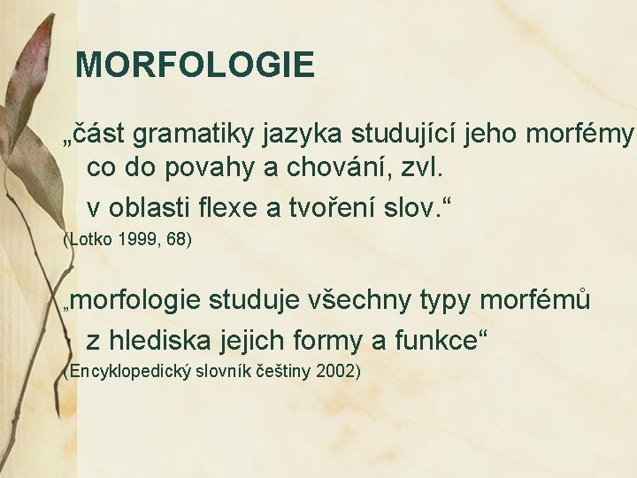 MORFOLOGIE „část gramatiky jazyka studující jeho morfémy co do povahy a chování, zvl. v