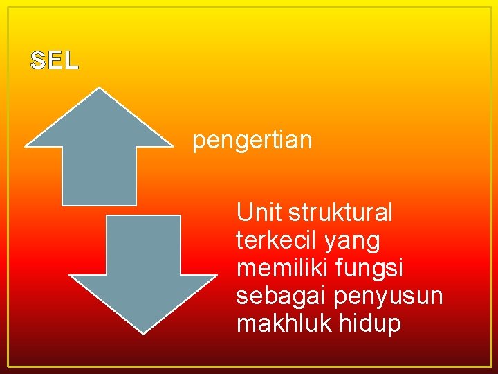 SEL pengertian Unit struktural terkecil yang memiliki fungsi sebagai penyusun makhluk hidup 