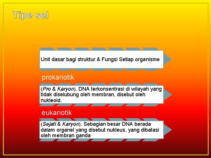 Tipe sel Unit dasar bagi struktur & Fungsi Setiap organisme prokariotik (Pro & Karyon).