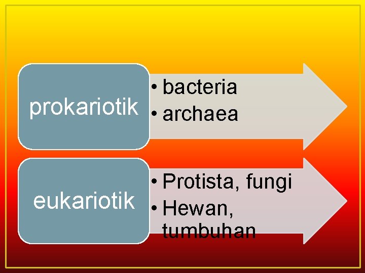  • bacteria prokariotik • archaea • Protista, fungi eukariotik • Hewan, tumbuhan 