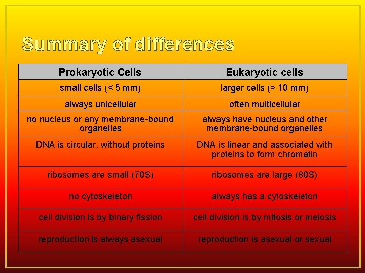 Summary of differences Prokaryotic Cells Eukaryotic cells small cells (< 5 mm) larger cells