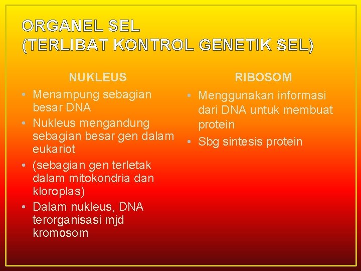ORGANEL SEL (TERLIBAT KONTROL GENETIK SEL) • • NUKLEUS Menampung sebagian besar DNA Nukleus