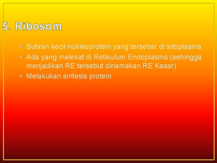 5. Ribosom • Butiran kecil nukleoprotein yang tersebar di sitoplasma • Ada yang melekat