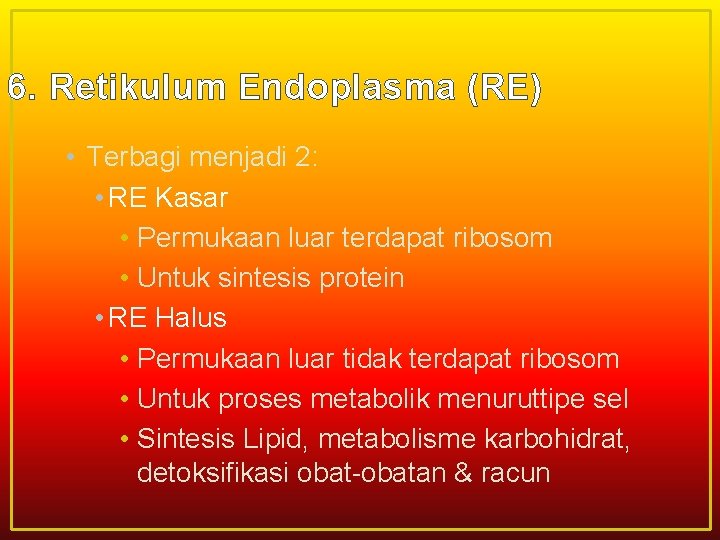 6. Retikulum Endoplasma (RE) • Terbagi menjadi 2: • RE Kasar • Permukaan luar