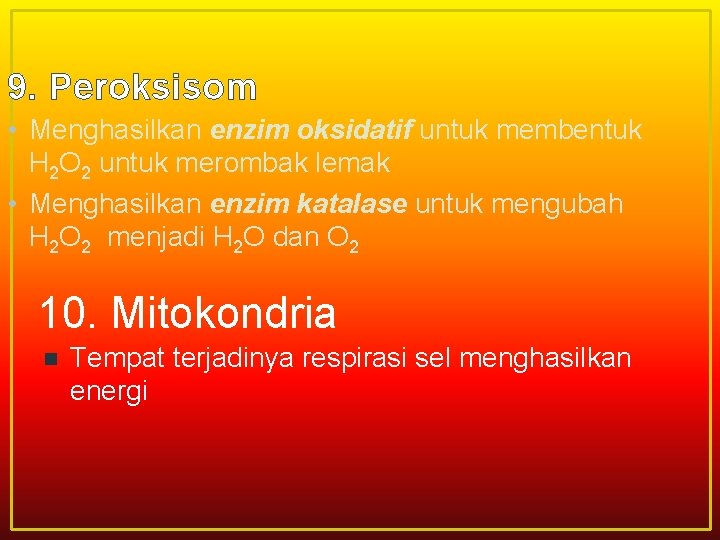 9. Peroksisom • Menghasilkan enzim oksidatif untuk membentuk H 2 O 2 untuk merombak