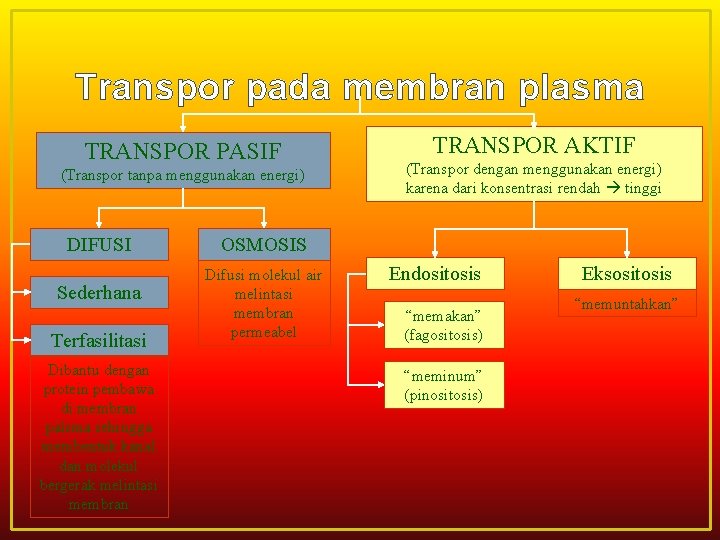 Transpor pada membran plasma TRANSPOR PASIF (Transpor tanpa menggunakan energi) DIFUSI Sederhana Terfasilitasi Dibantu