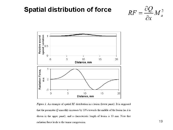 Spatial distribution of force 19 