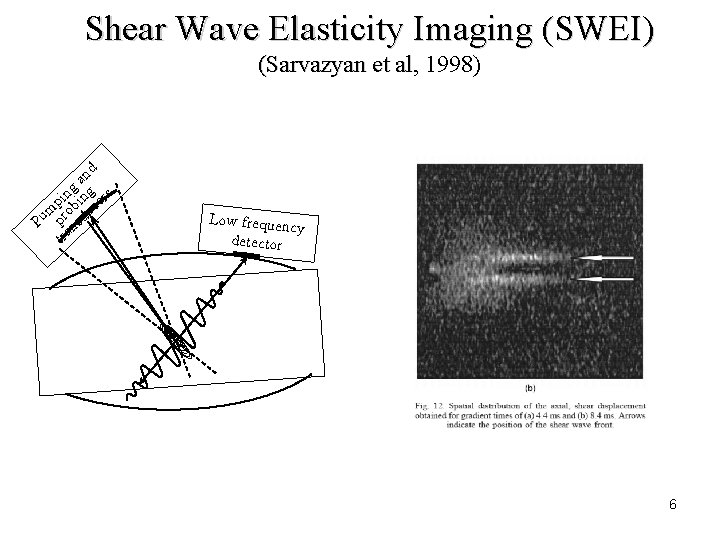 Shear Wave Elasticity Imaging (SWEI) (Sarvazyan et al, 1998) d an ng g s