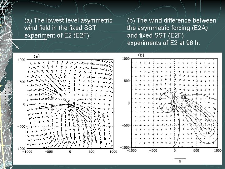 (a) The lowest-level asymmetric wind field in the fixed SST experiment of E 2