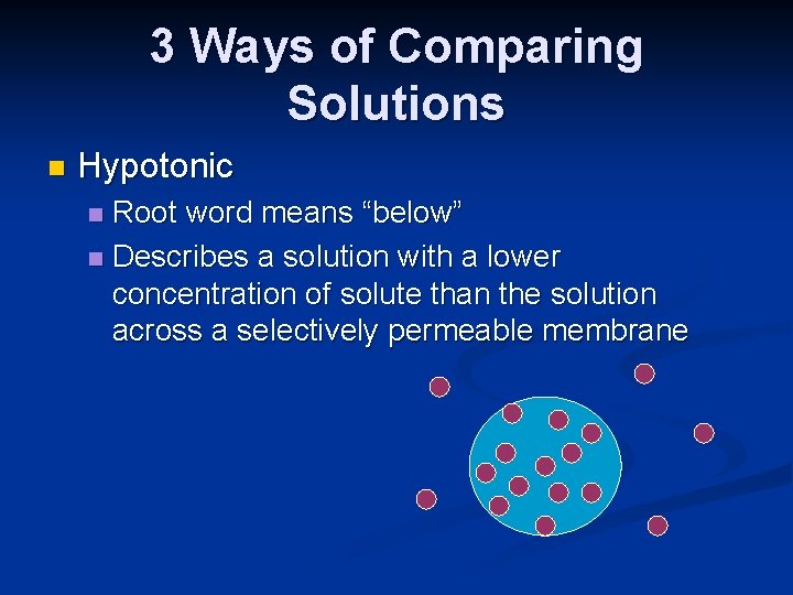 3 Ways of Comparing Solutions n Hypotonic Root word means “below” n Describes a