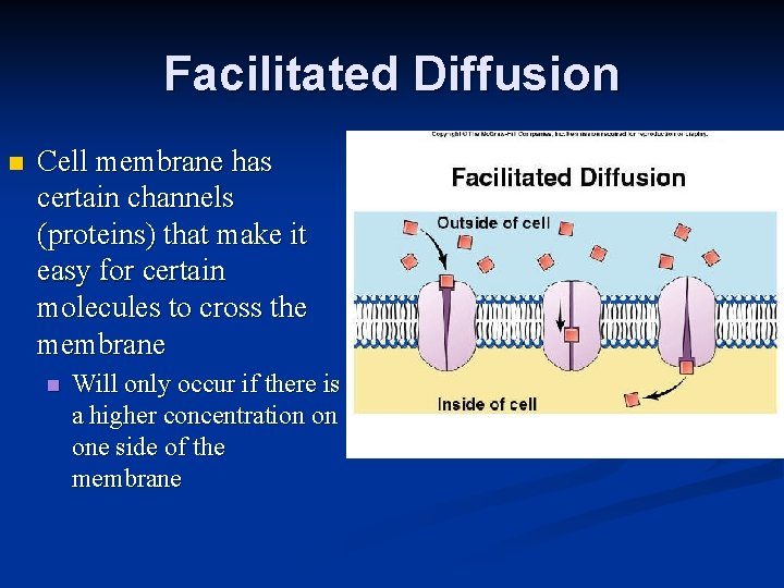 Facilitated Diffusion n Cell membrane has certain channels (proteins) that make it easy for