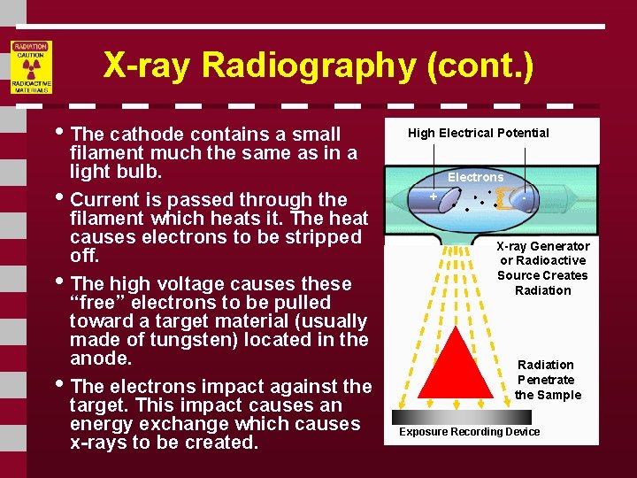 X-ray Radiography (cont. ) • The cathode contains a small filament much the same