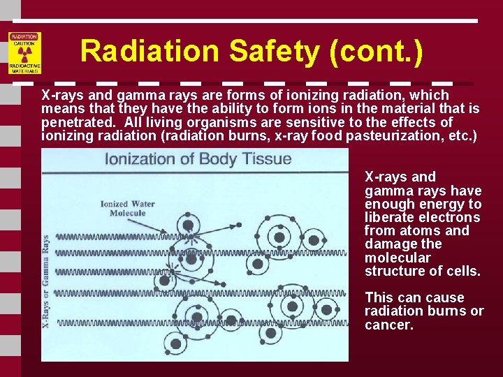 Radiation Safety (cont. ) X-rays and gamma rays are forms of ionizing radiation, which