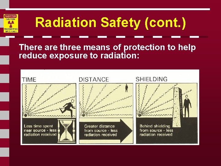 Radiation Safety (cont. ) There are three means of protection to help reduce exposure