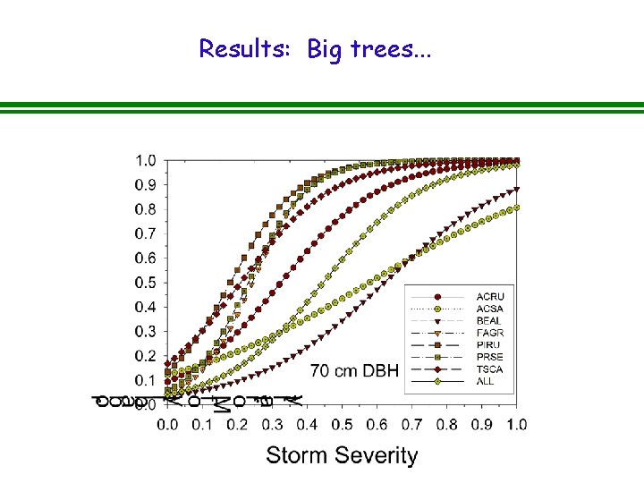 Results: Big trees. . . 