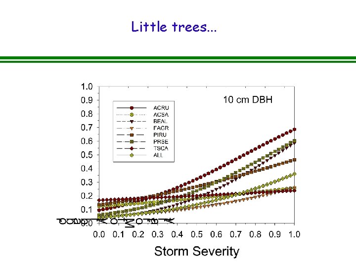 Little trees. . . 