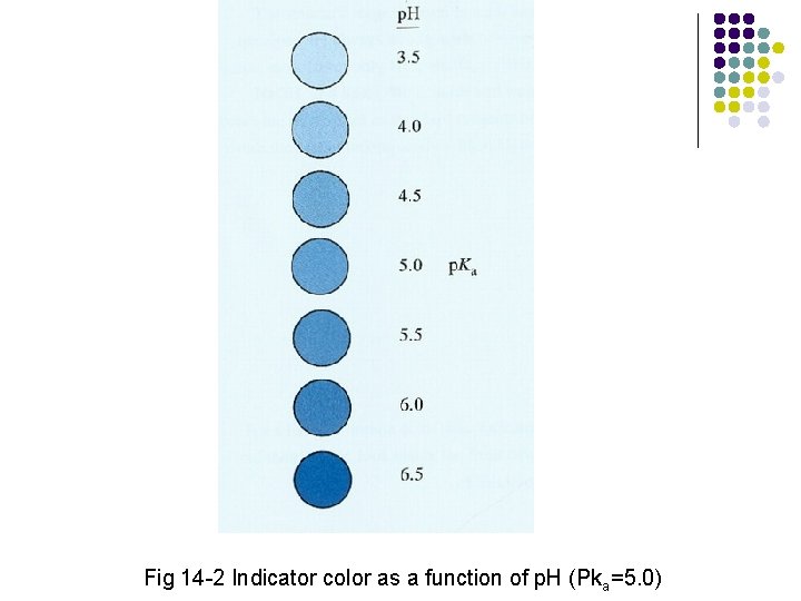 Fig 14 -2 Indicator color as a function of p. H (Pka=5. 0) 