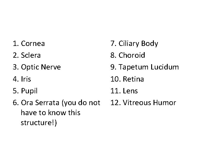 1. Cornea 2. Sclera 3. Optic Nerve 4. Iris 5. Pupil 6. Ora Serrata