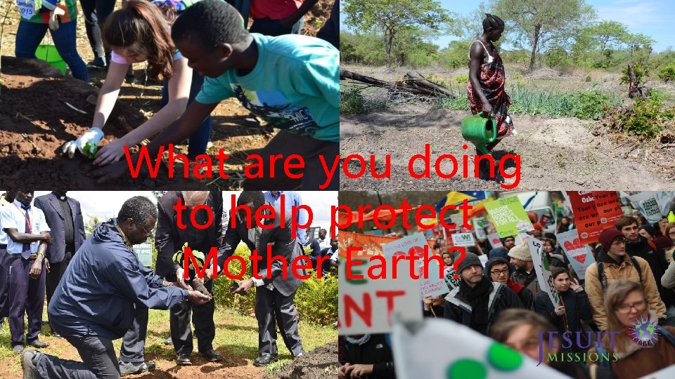 What are you doing to help protect Mother Earth? 