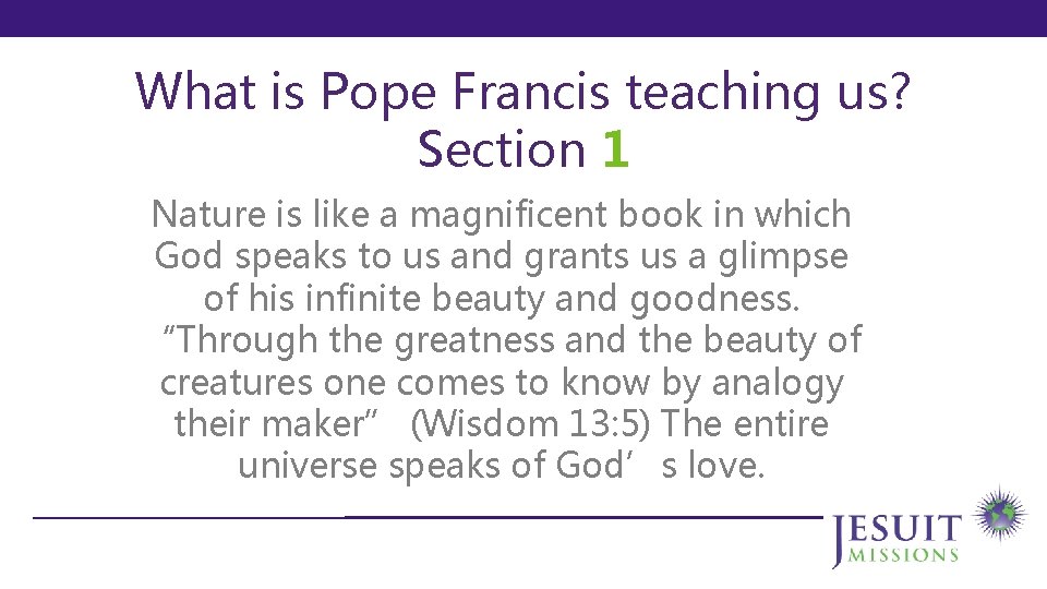 What is Pope Francis teaching us? Section 1 Nature is like a magnificent book