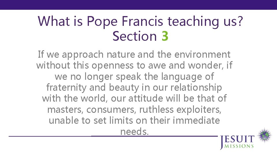What is Pope Francis teaching us? Section 3 If we approach nature and the
