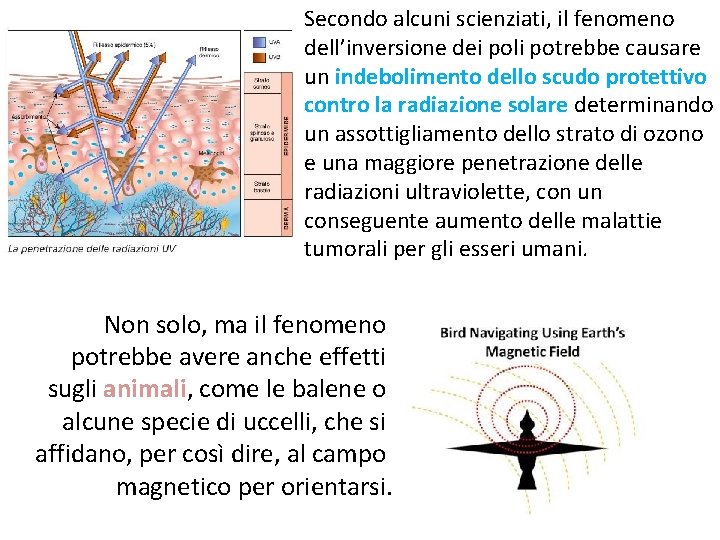 Secondo alcuni scienziati, il fenomeno dell’inversione dei poli potrebbe causare un indebolimento dello scudo