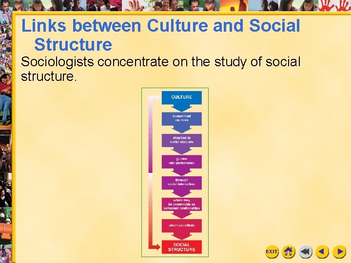 Links between Culture and Social Structure Sociologists concentrate on the study of social structure. Links between Culture and Social Structure Sociologists concentrate on the study of social structure.