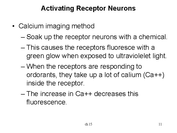 Activating Receptor Neurons • Calcium imaging method – Soak up the receptor neurons with