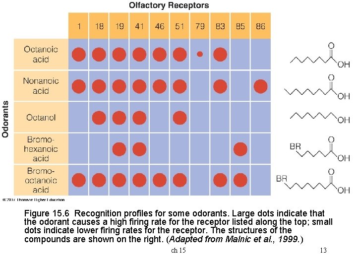 Figure 15. 6 Recognition profiles for some odorants. Large dots indicate that the odorant