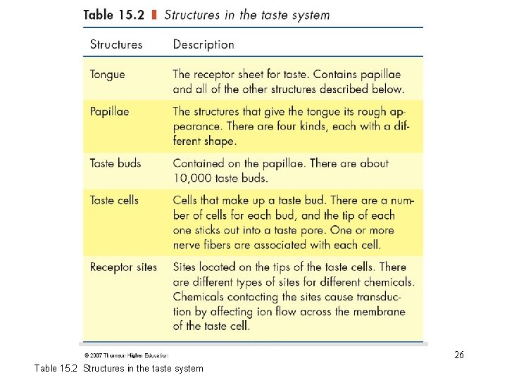 ch 15 Table 15. 2 Structures in the taste system 26 