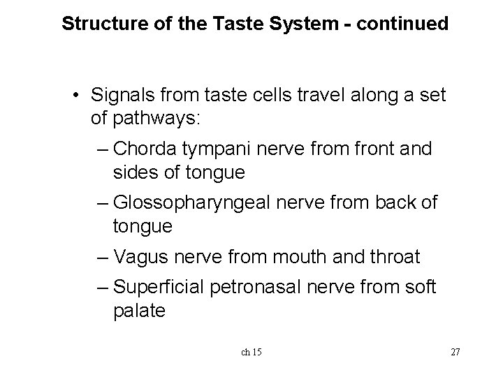 Structure of the Taste System - continued • Signals from taste cells travel along