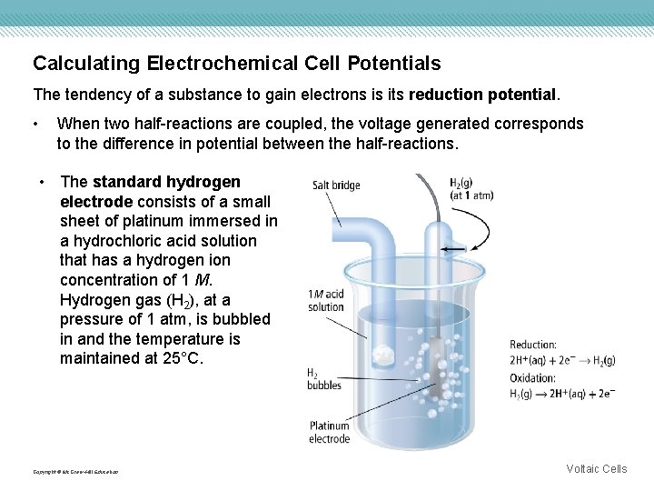 Calculating Electrochemical Cell Potentials The tendency of a substance to gain electrons is its