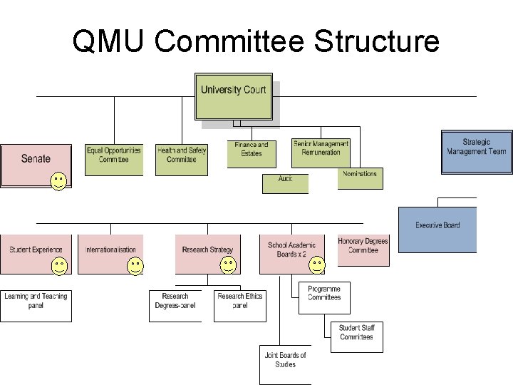 QMU Committee Structure 